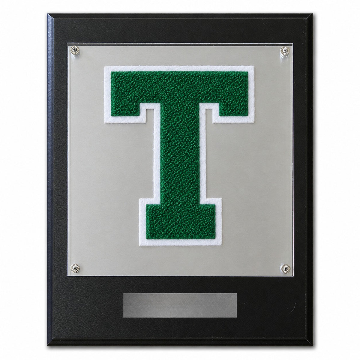 Texas Academy of Biomedical Sciences (TX) chenille letter plaque