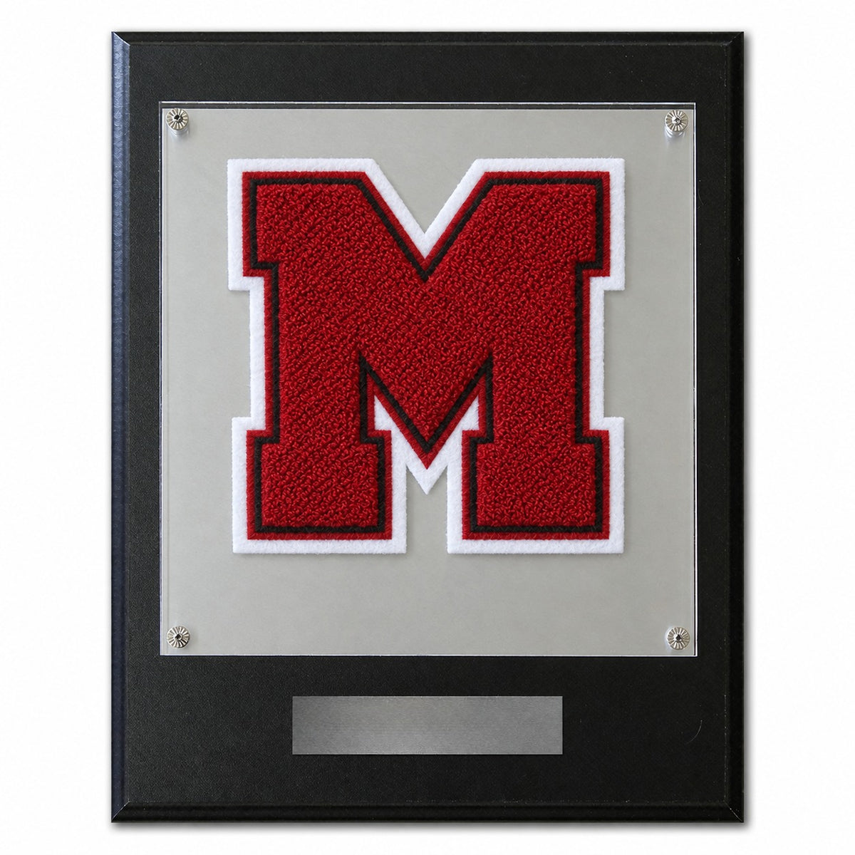 Meridian World School (TX) chenille letter plaque