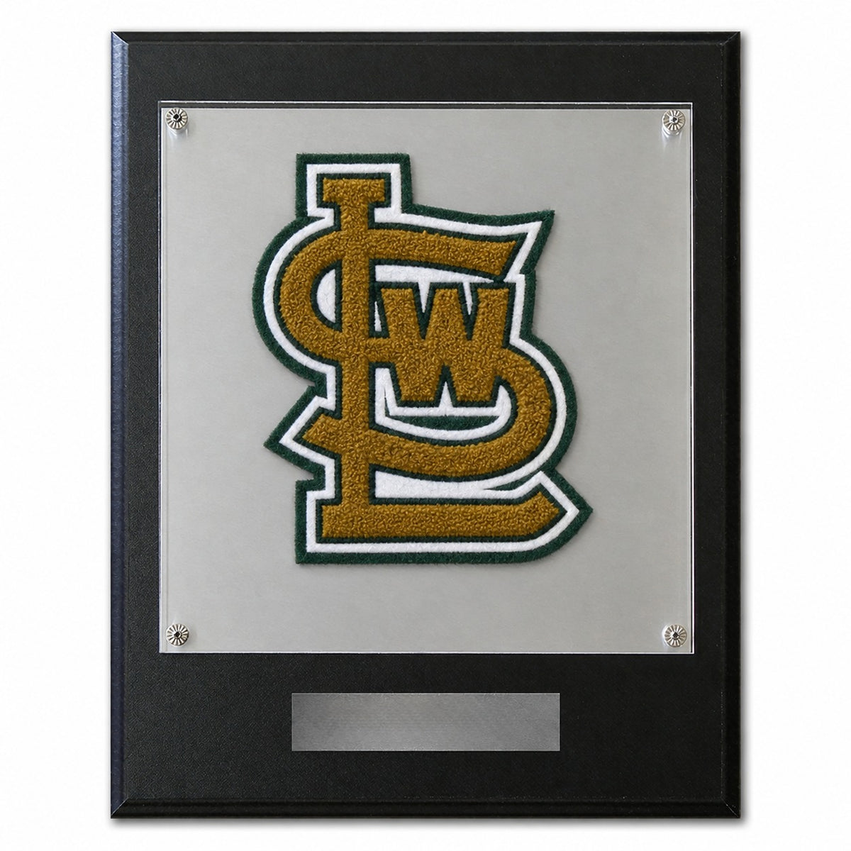 Southwest Legacy (TX) High School chenille letter plaque