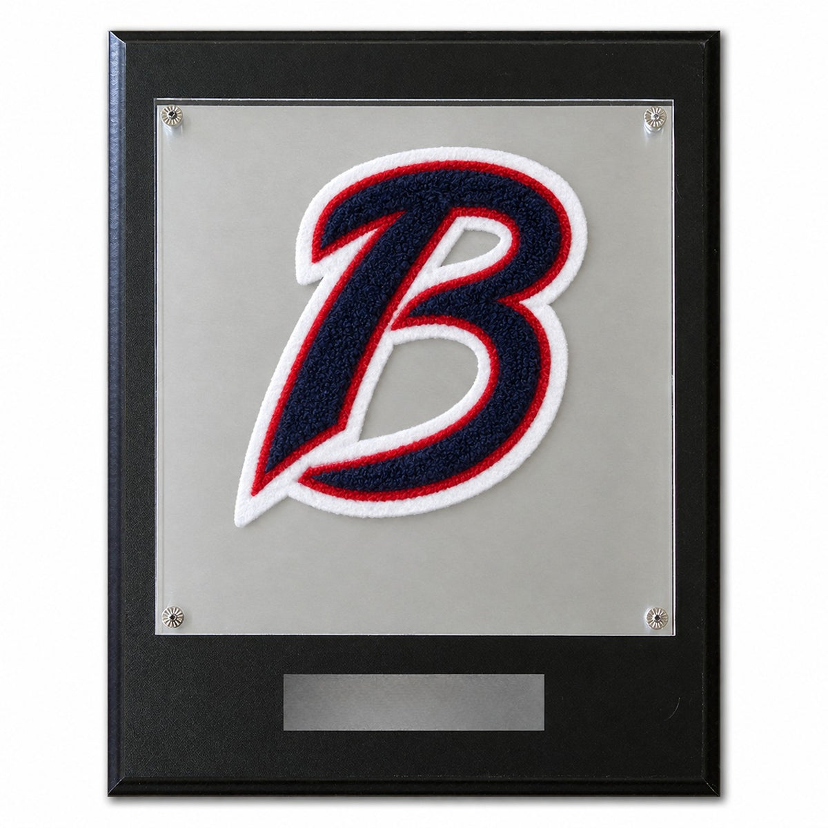 Bay Area (TX) Christian School chenille letter plaque