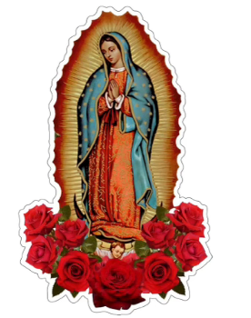 Custom Los Altos Varsity Jacket