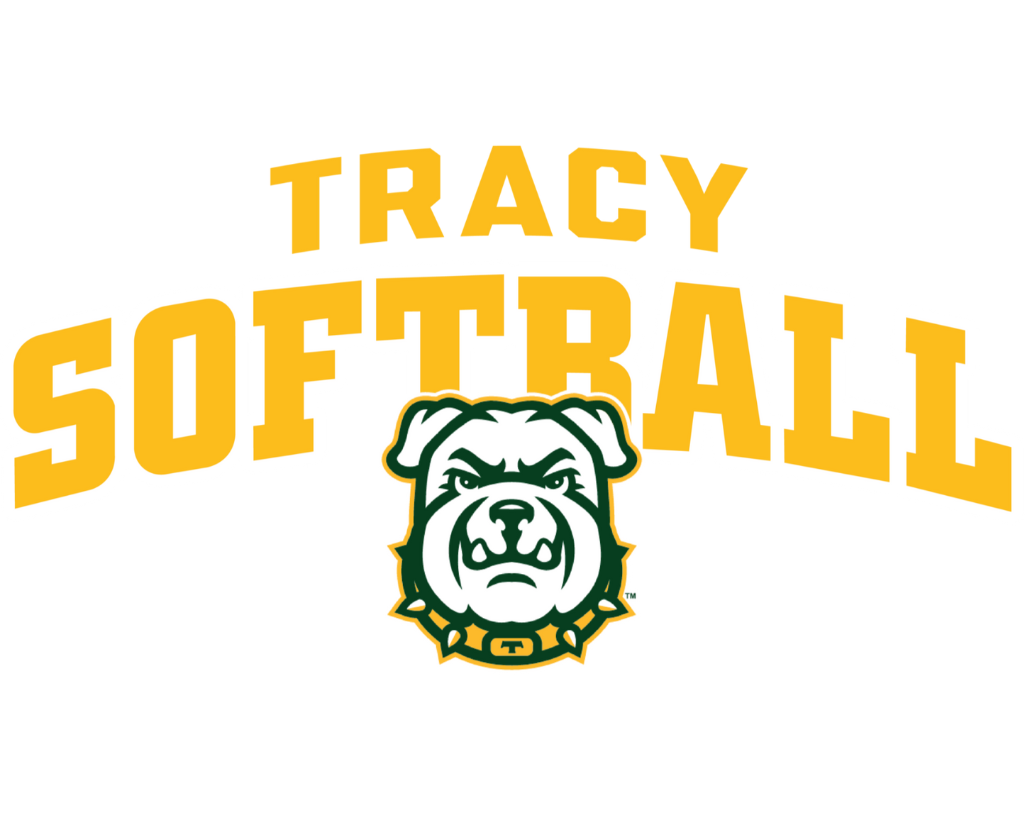 Tracy Softball New Youth Heavy Blend Hoodie