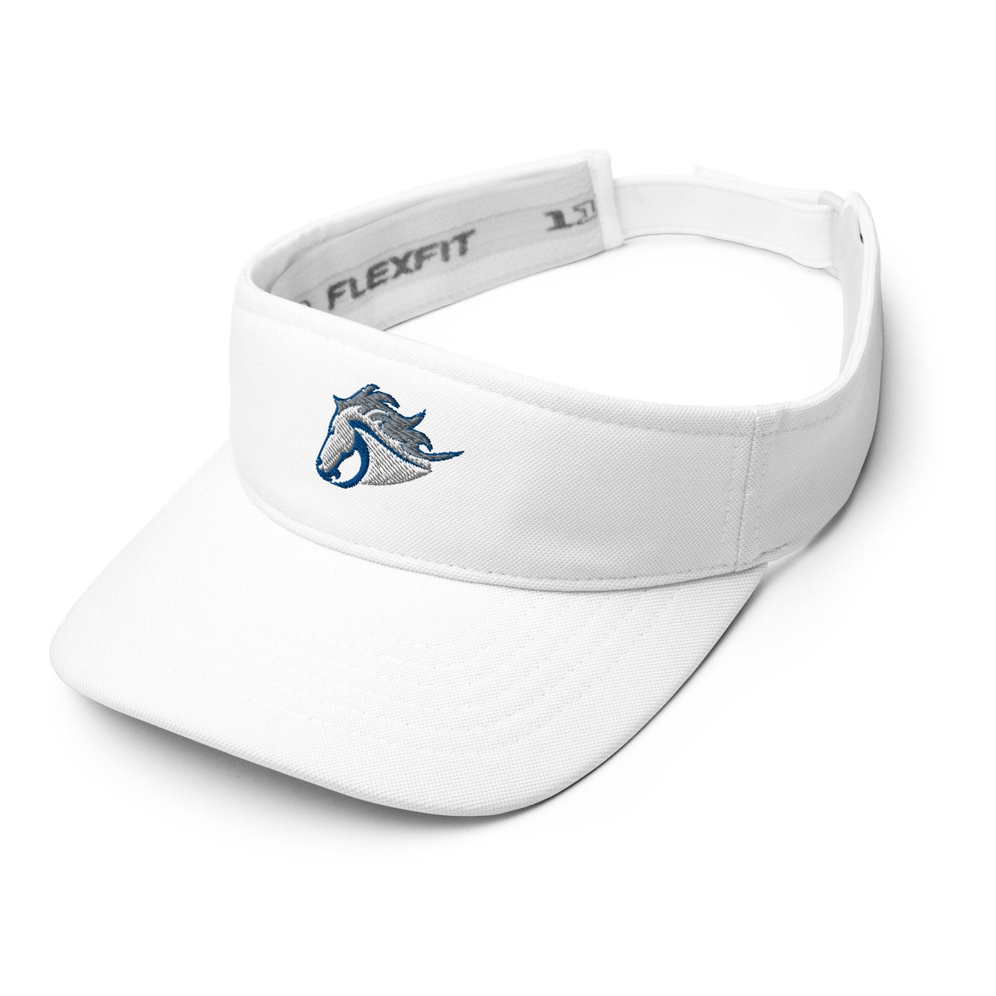 Mountain House Visor
