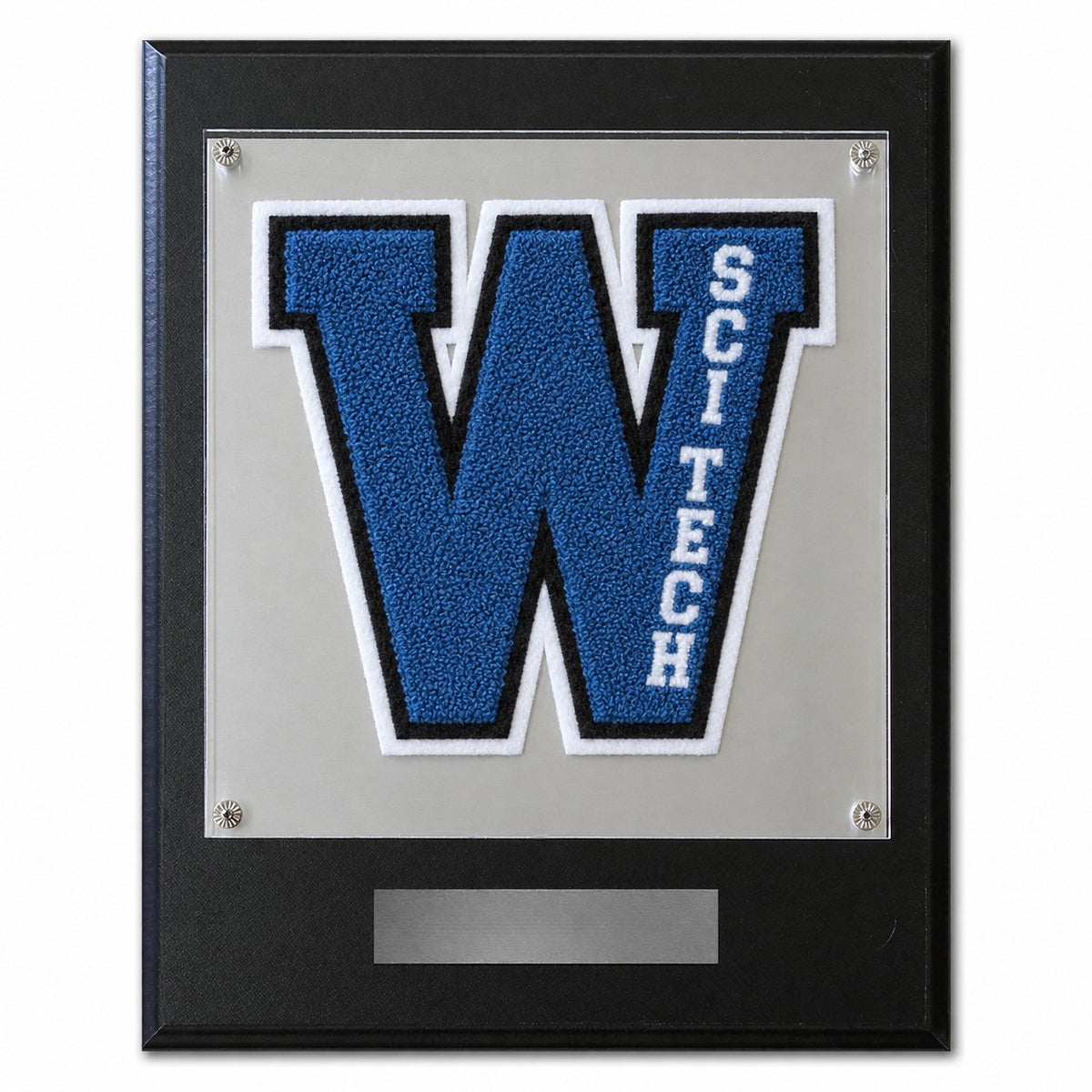 Wayside Sci-Tech (TX) High School chenille letter plaque