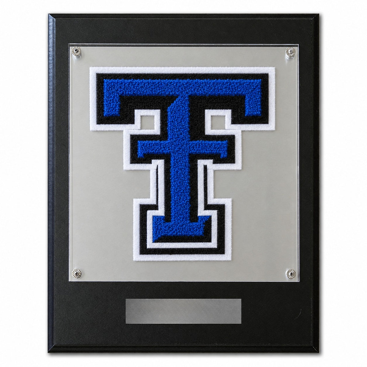 Trinity Leadership (TX) chenille letter plaque