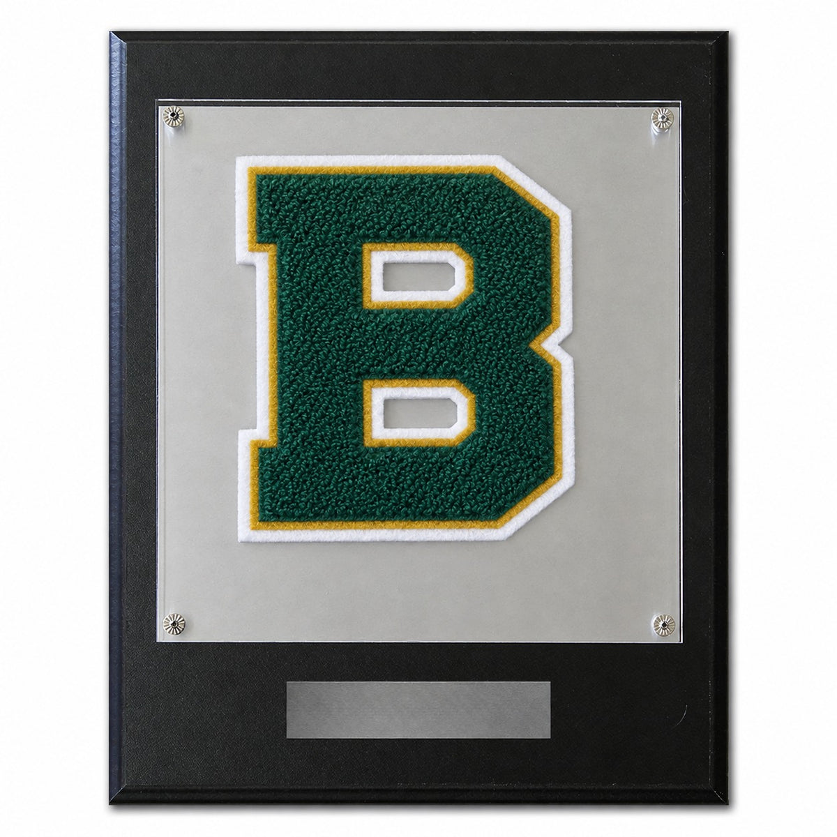 Birdville High School (TX) chenille letter plaque