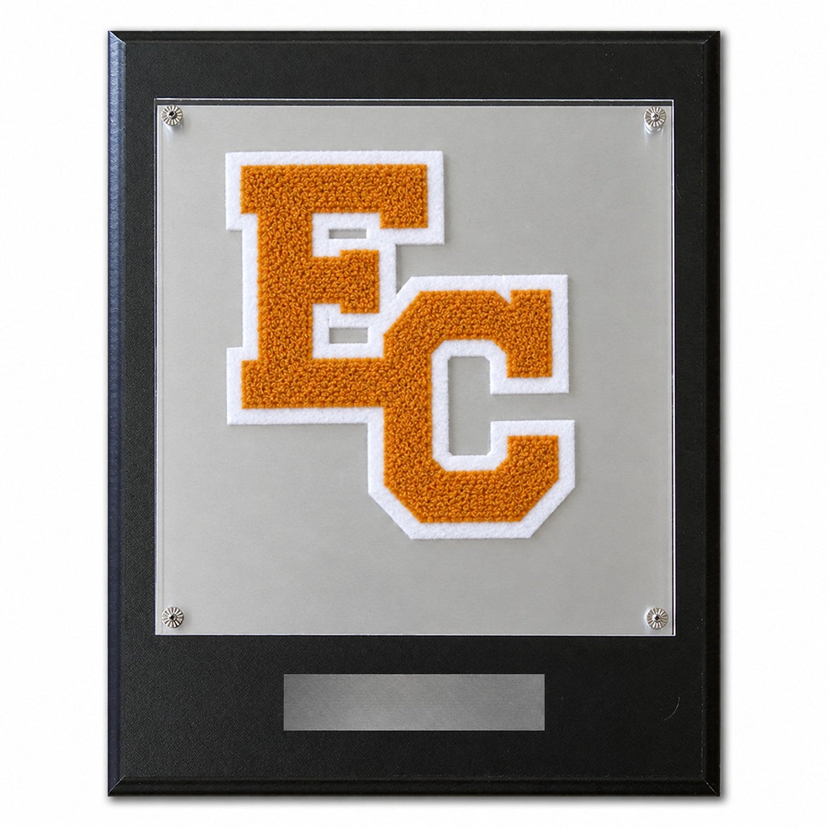 Early College High School (TX) chenille letter plaque