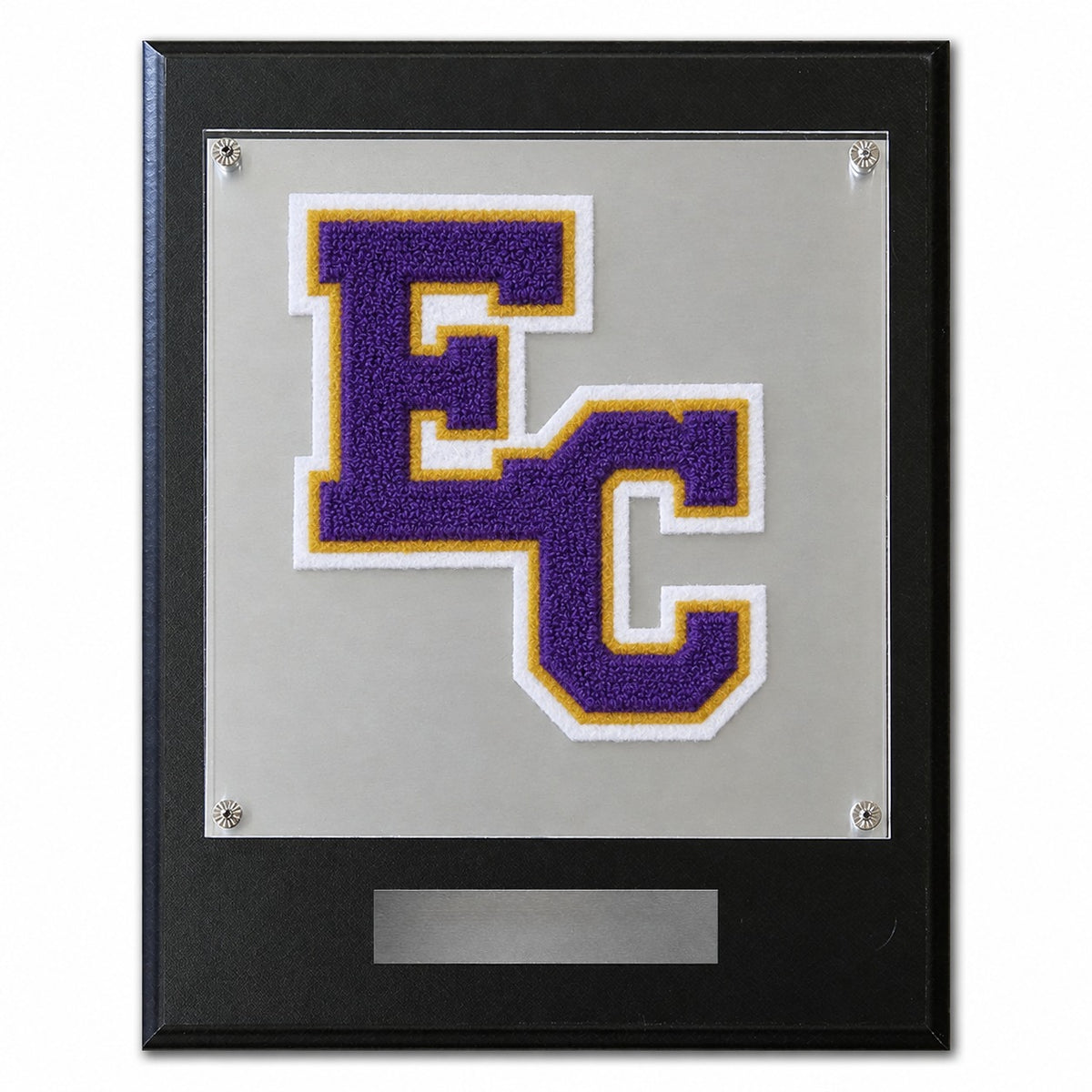 Leander Early College High School (TX) chenille letter plaque