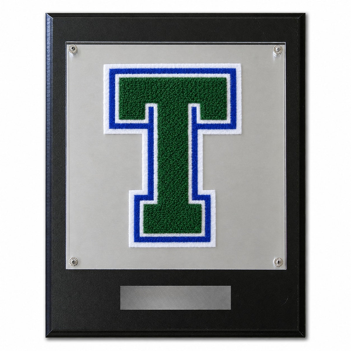 Transformative Leadership Academy (TX) chenille letter plaque