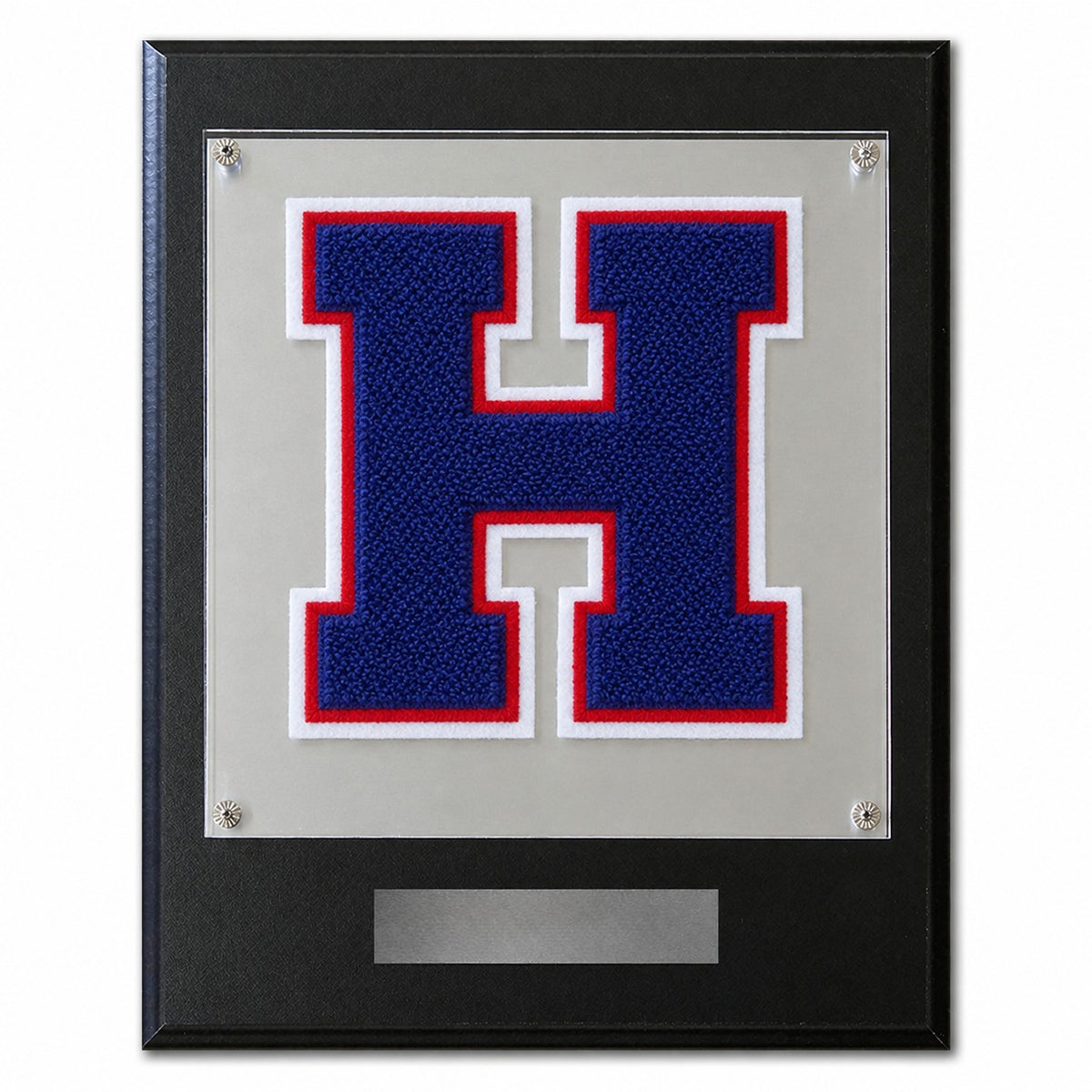 Harmony School of Innovation (TX) chenille letter plaque