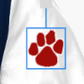 Year  & Paw Patch