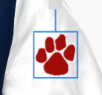 Year  & Paw Patch