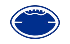 PS Academy Flag Football Patch