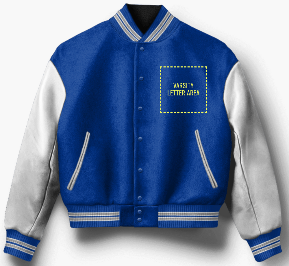 水原希子　野村訓市　richardon 名作varsity jacket Varsity Made Mountain House High School CA Letterman Jacket