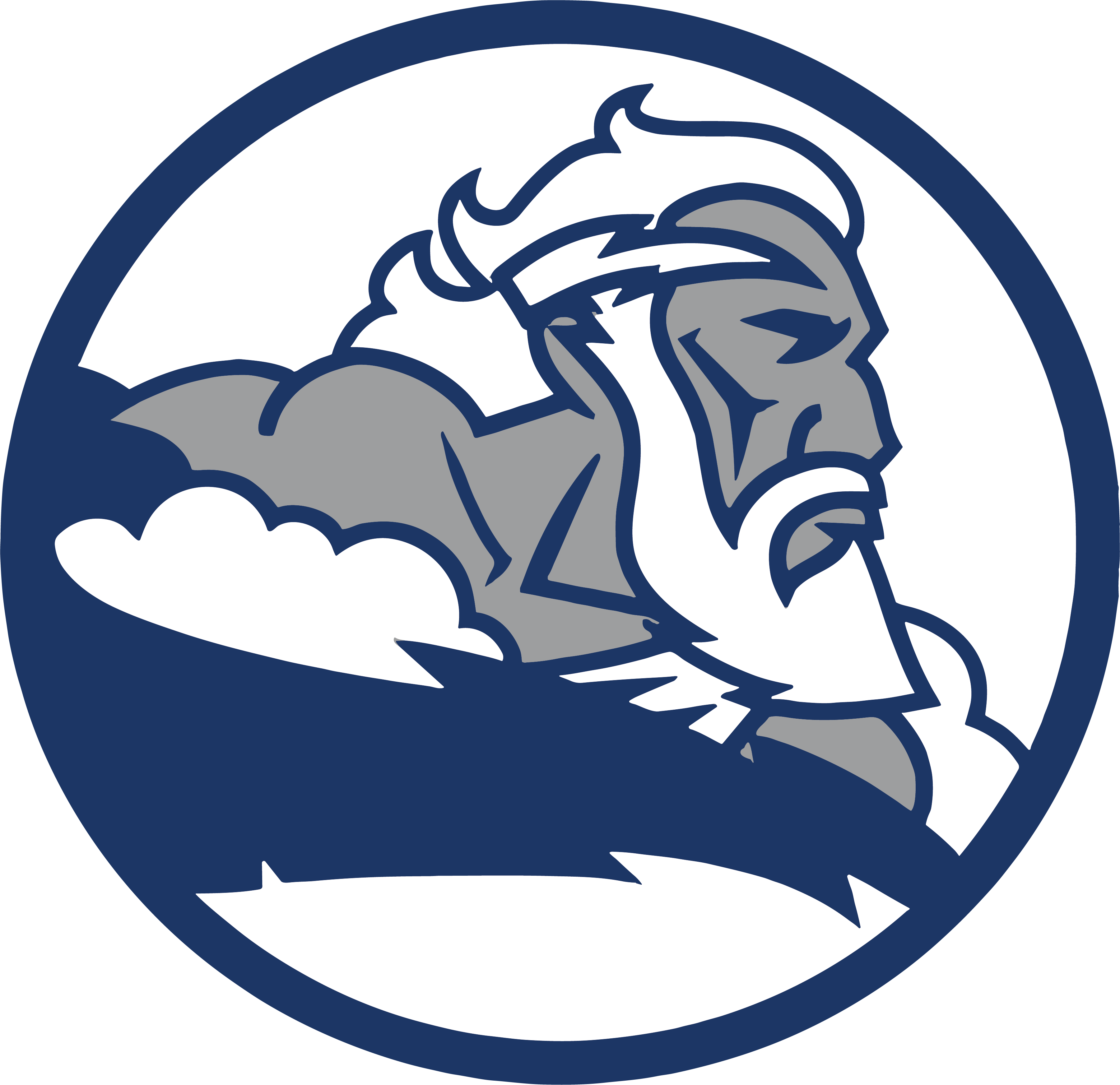 Stern Math and Science Home Page – Varsity Made