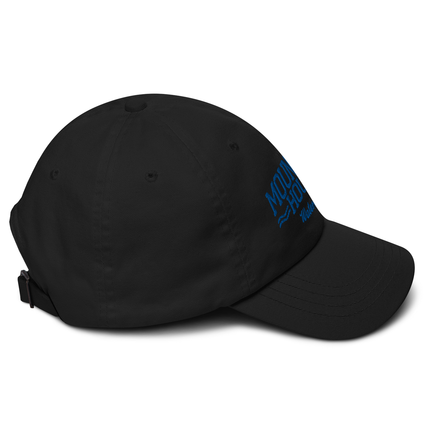 Mountain House Waterpolo Dad hat