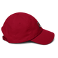Raptors Soccer Dad hat