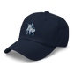 San Diego Academy  Dad hat
