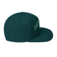 James Lick Snapback Hat