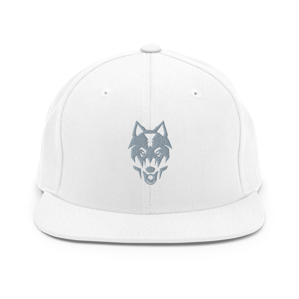 Odessa Collegiate Academy - Classic Snapback