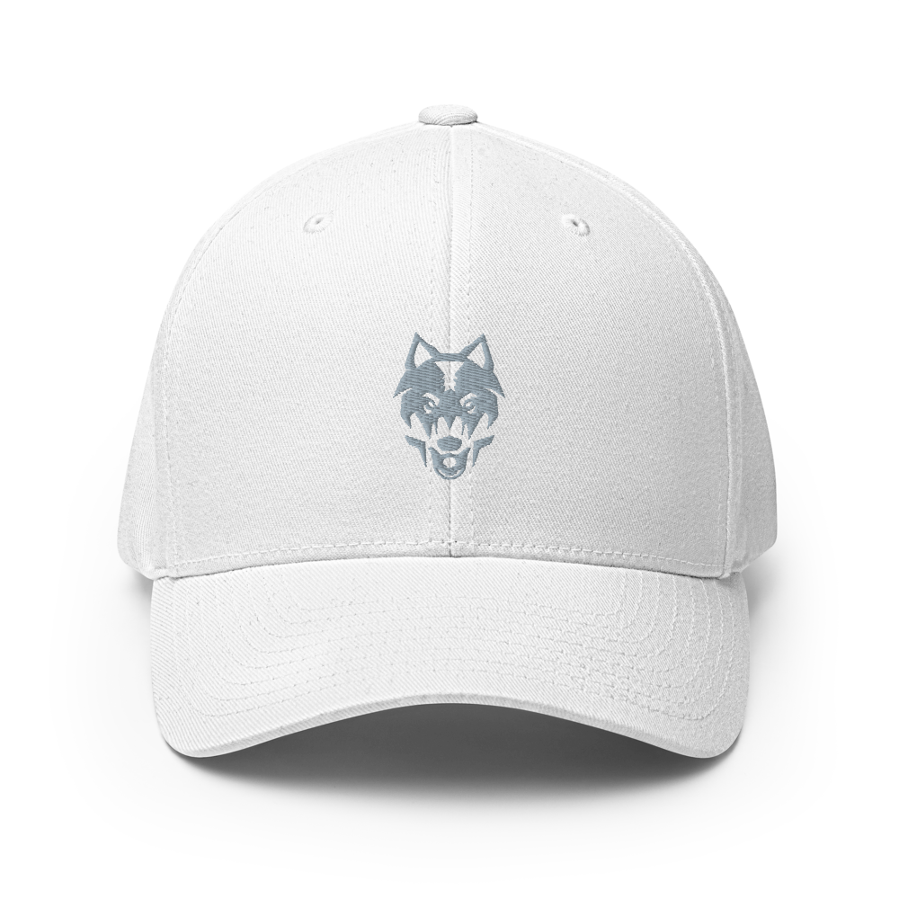Odessa Collegiate Academy - Closed-Back Structured Cap