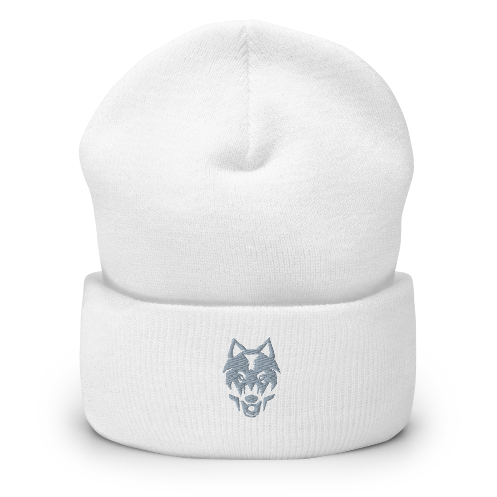 Odessa Collegiate Academy - Cuffed Beanie