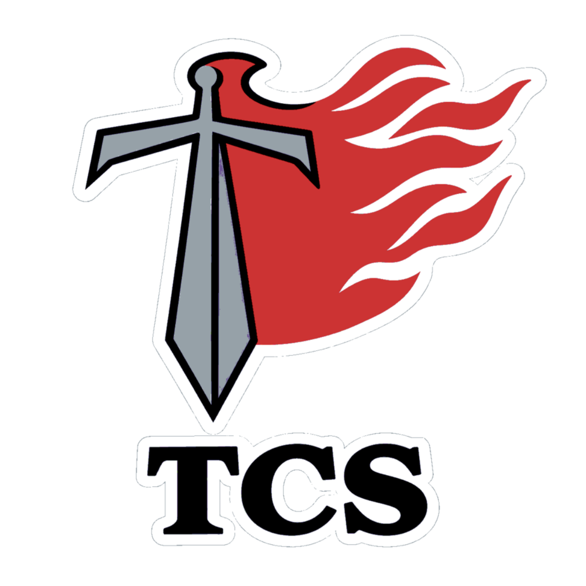 TCS - Premium Polo Shirt
