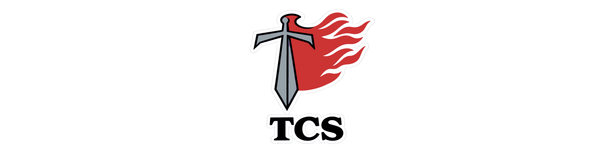 TCS - Visor