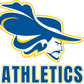 Calvert Athletics - Snapback