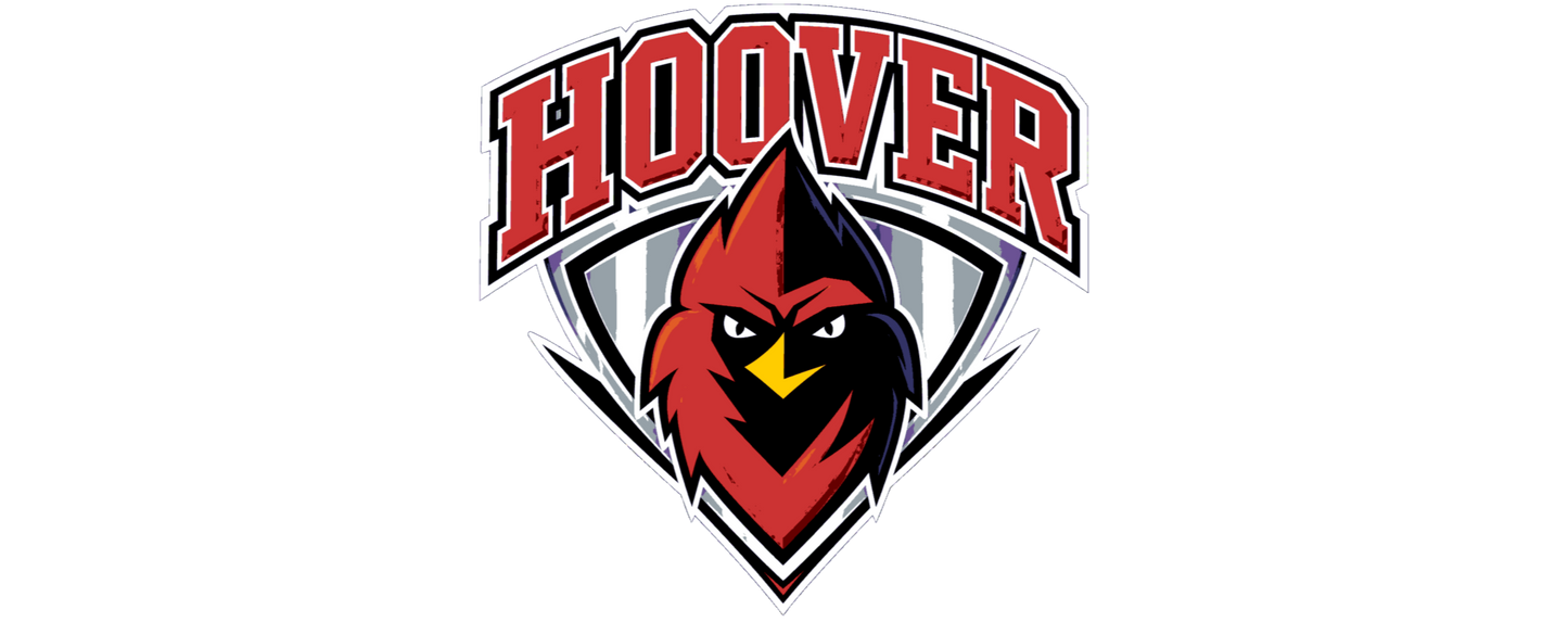 Hoover High School - Snapback