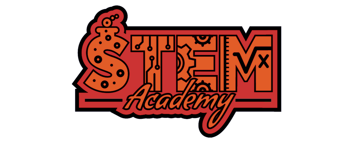 Stem Academy - Snapback