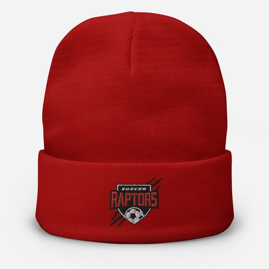 Raptors soccer Embroidered Beanie