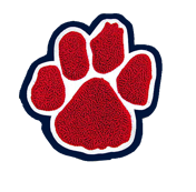 Paw Patch