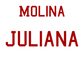 Player T-Shirt "Molina"