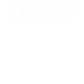 Player T-Shirt "GALLEOGS"