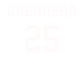 Player T-Shirt "GUERRERO"