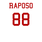 Player T-Shirt "Raposo"