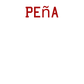 Player T-Shirt "Peña"