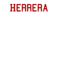 Player T-Shirt "Herrera"