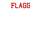 Player T-Shirt "Flagg"