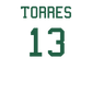 Player T-Shirt "Torres"
