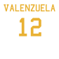 Player T-Shirt "Valenzuela"