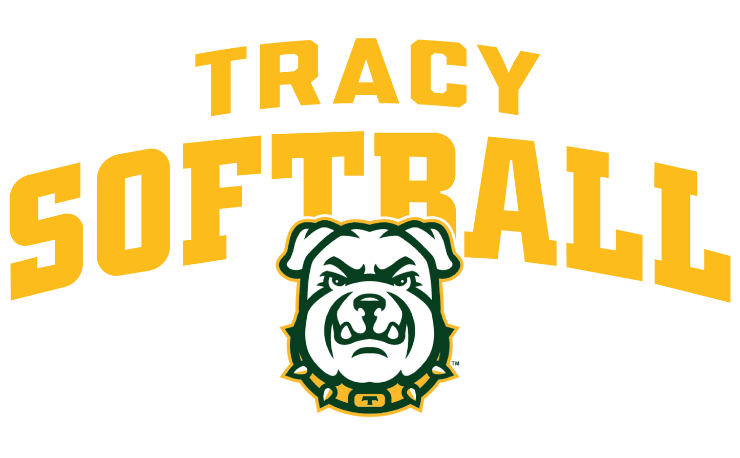 Tracy Softball New Stainless Steel Water Bottle