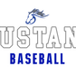 Mountain House Baseball Stainless Steel Water Bottle