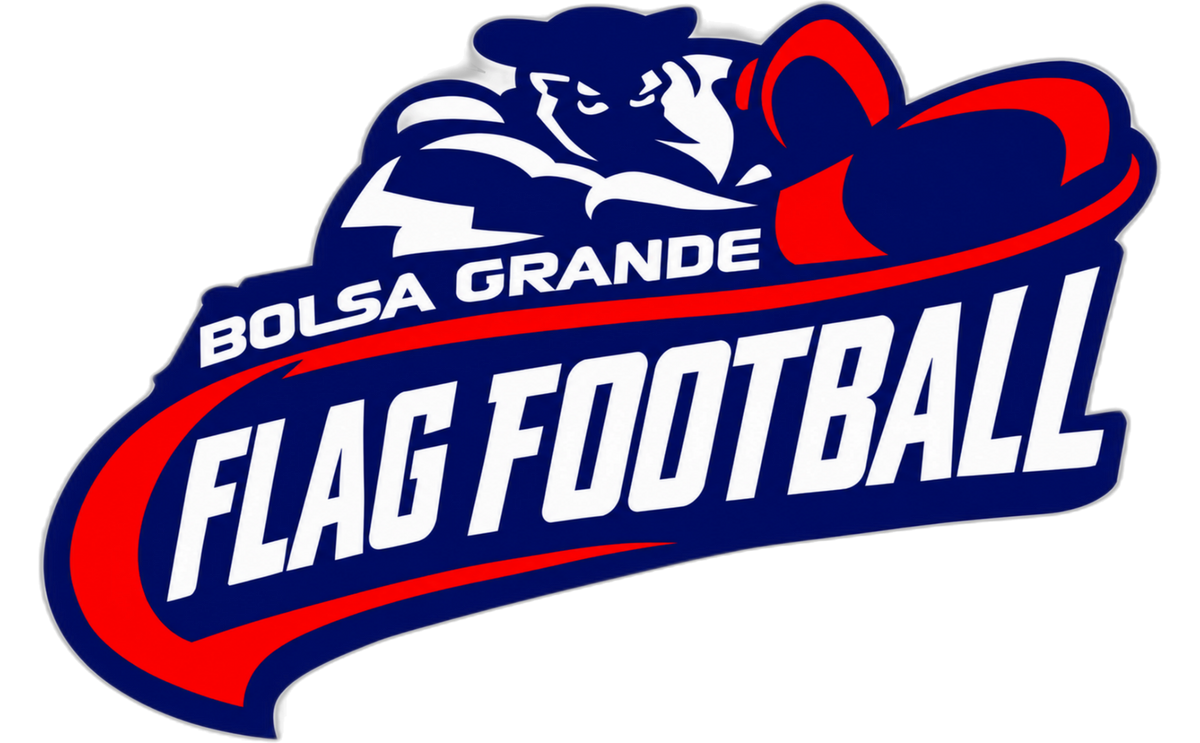 Bolsa Grande Flag Football Stainless Steel Water Bottle