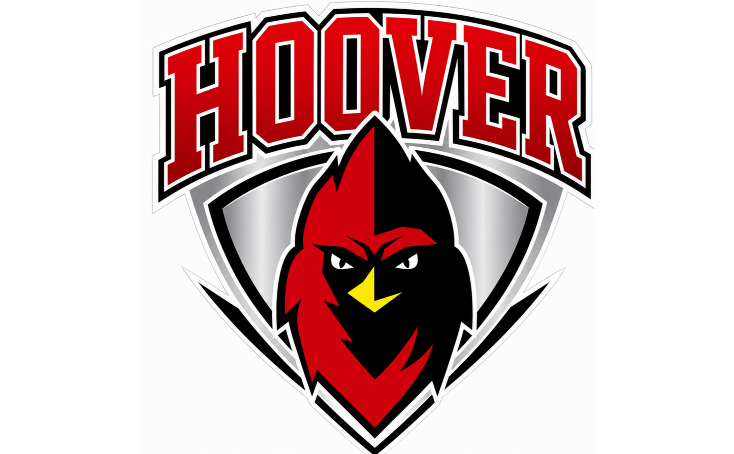 Hoover Fall Sports - Stainless Steel Water Bottle