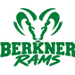 Berkner Athletics - Youth Heavy Blend Hoodie