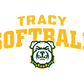 Tracy Softball New Youth Heavy Blend Hoodie