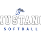Mountain House Softball Youth Heavy Blend Hoodie