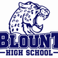 Blount High School - Youth Heavy Blend Hoodie